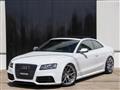 2011 Audi Audi Others