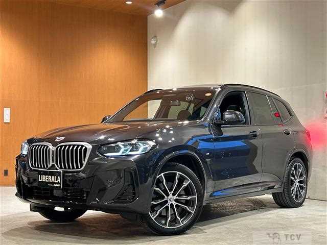 2023 BMW X3