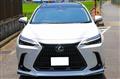 2025 Lexus NX