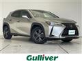 2019 Lexus UX