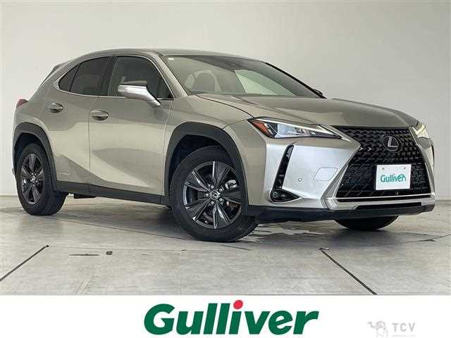 2019 Lexus UX