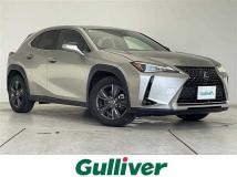 2019 Lexus UX