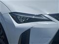 2020 Lexus UX