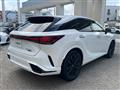 2025 Lexus RX