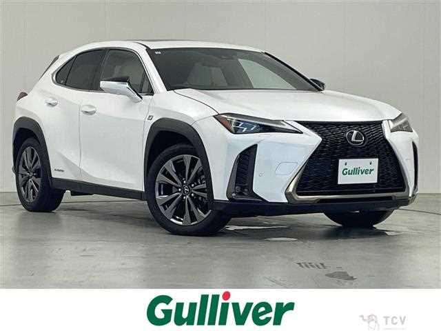 2021 Lexus UX