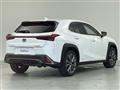 2021 Lexus UX