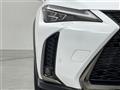 2021 Lexus UX