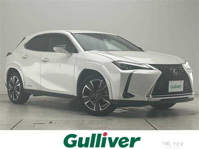 2020 Lexus UX