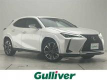 2020 Lexus UX