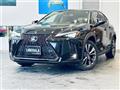 2019 Lexus UX