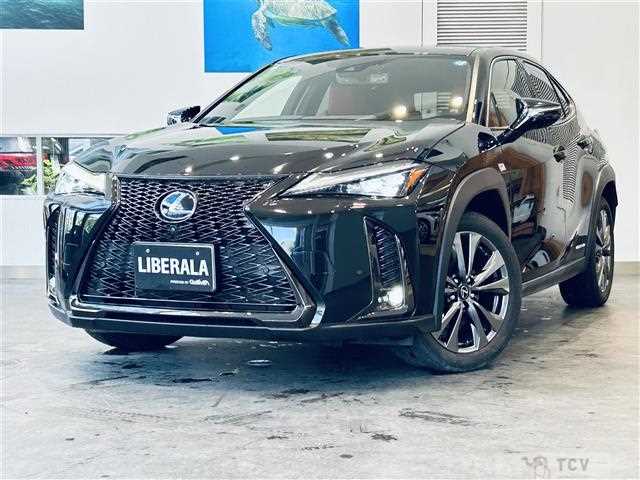2019 Lexus UX