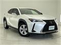 2020 Lexus UX