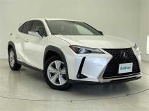 2020 Lexus UX
