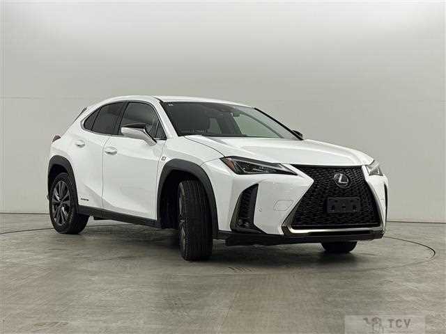 2019 Lexus UX