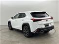 2019 Lexus UX
