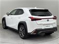 2022 Lexus UX