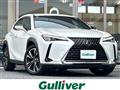 2019 Lexus UX