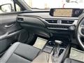 2019 Lexus UX