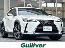 2019 Lexus UX