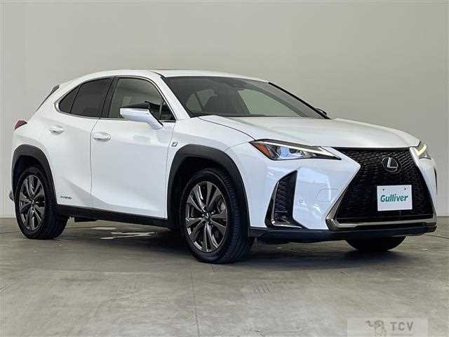 2019 Lexus UX
