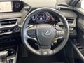 2019 Lexus UX