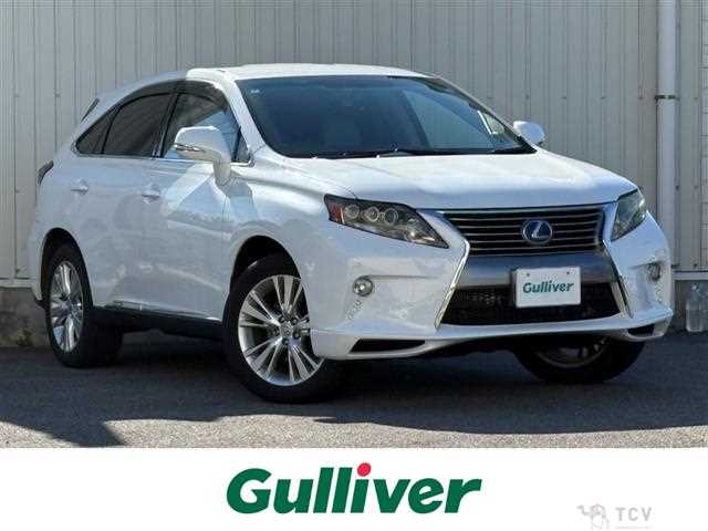 2009 Lexus RX