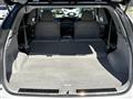 2009 Lexus RX