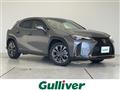2019 Lexus UX