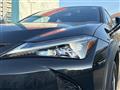 2020 Lexus UX