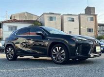 2020 Lexus UX