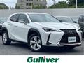 2019 Lexus UX
