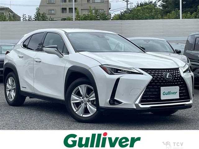 2019 Lexus UX