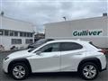 2019 Lexus UX