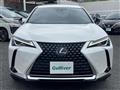 2019 Lexus UX