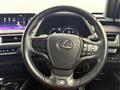 2019 Lexus UX