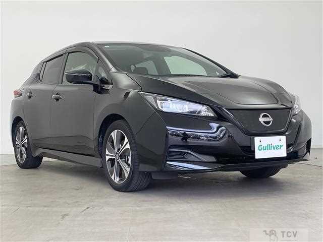 2021 Nissan Leaf