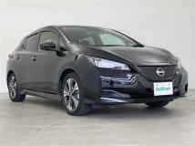 2021 Nissan Leaf