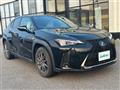 2020 Lexus UX