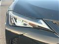 2020 Lexus UX