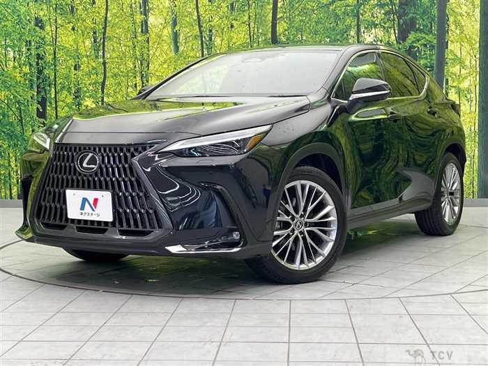 2022 Lexus NX