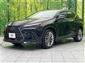 2022 Lexus NX