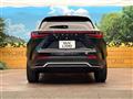 2022 Lexus NX
