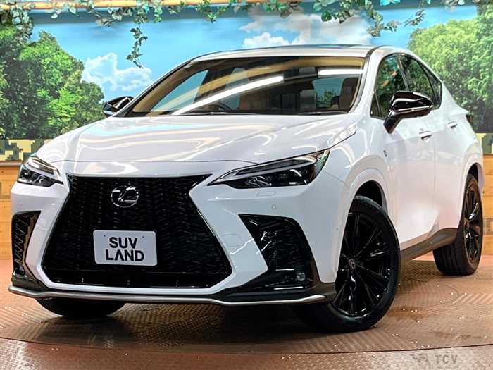 2025 Lexus NX