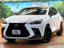 2025 Lexus NX
