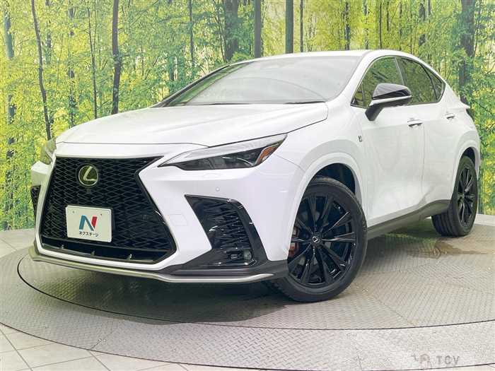 2023 Lexus NX