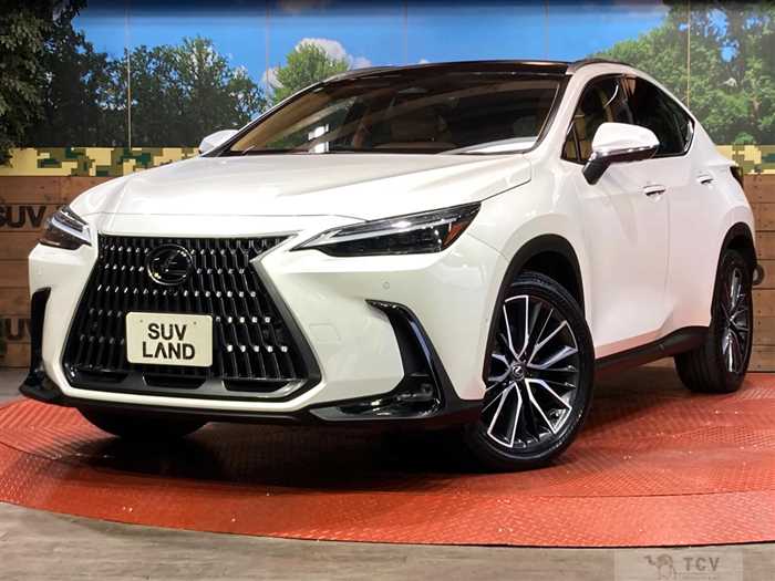 2023 Lexus NX