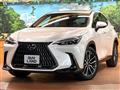 2023 Lexus NX