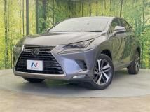 2018 Lexus NX