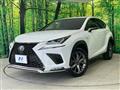 2019 Lexus NX