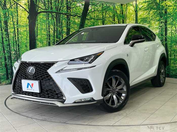 2019 Lexus NX